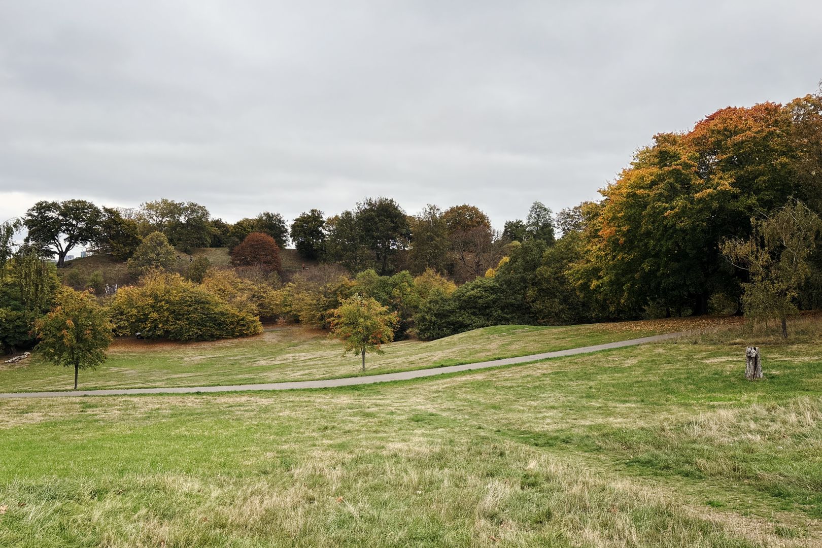 An open space in the park, looking slightly downhill. A footpath runs from left to right in the middle distance, with some small trees alongside it every so often, their leaves starting to turn yellow. To the right, the path disappears into a clump of larger trees, the tops of which are orange and yellow already. In the further distance, at the bottom of the hill, are more trees of various kinds, all mostly green still but starting to turn brown. Behind them another hill rises with scattered trees on its slopes, in varying shades; one smallish one in the centre, halfway up, is strikingly reddish-brown by comparison with those around it.