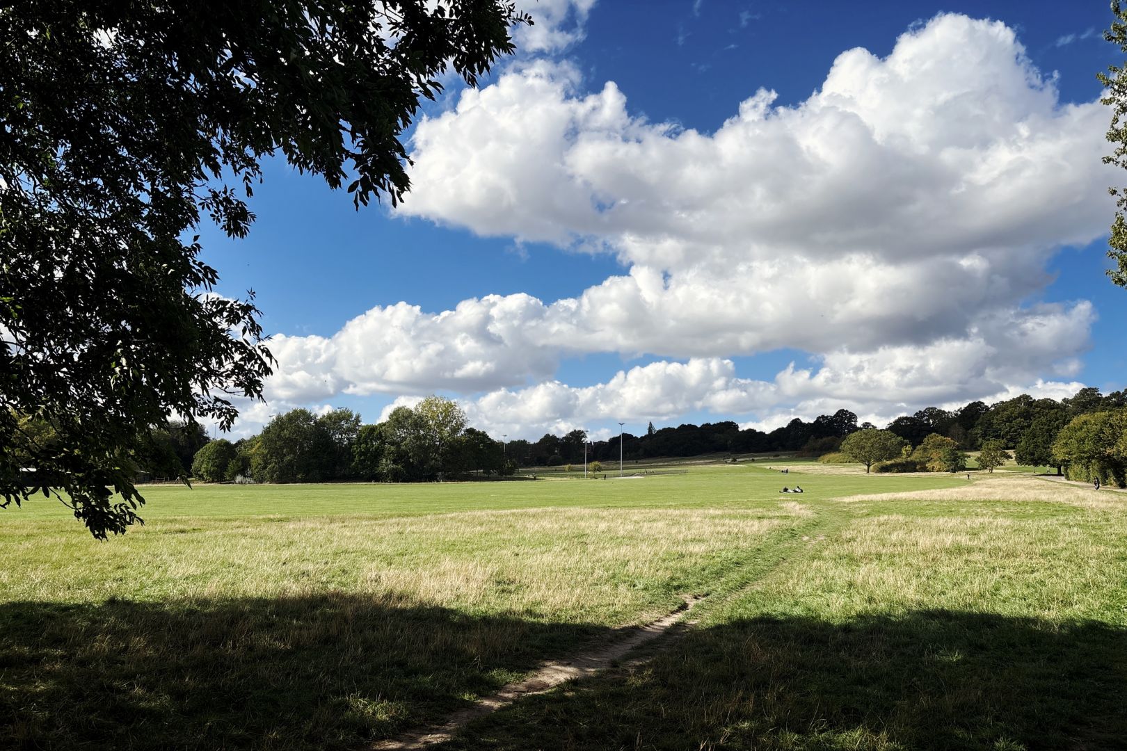 A view of Hampstead Heath looking roughly northwest from the south end: a wide green space with a line of trees along a ridge in the distance; blue sky with fluffy white clouds. In the foreground a large shady tree.